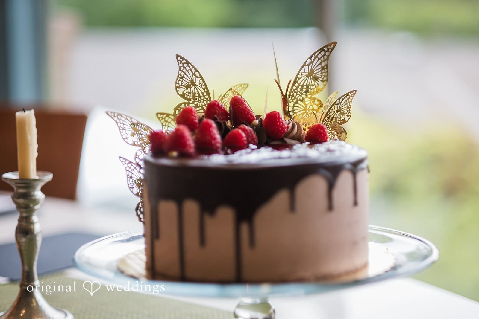 Washington Backyard Wedding // David & Avida -