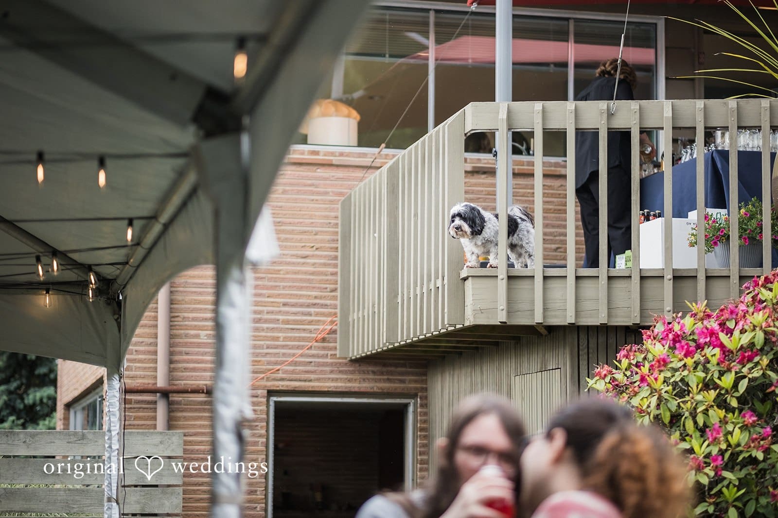 Washington Backyard Wedding // David & Avida -