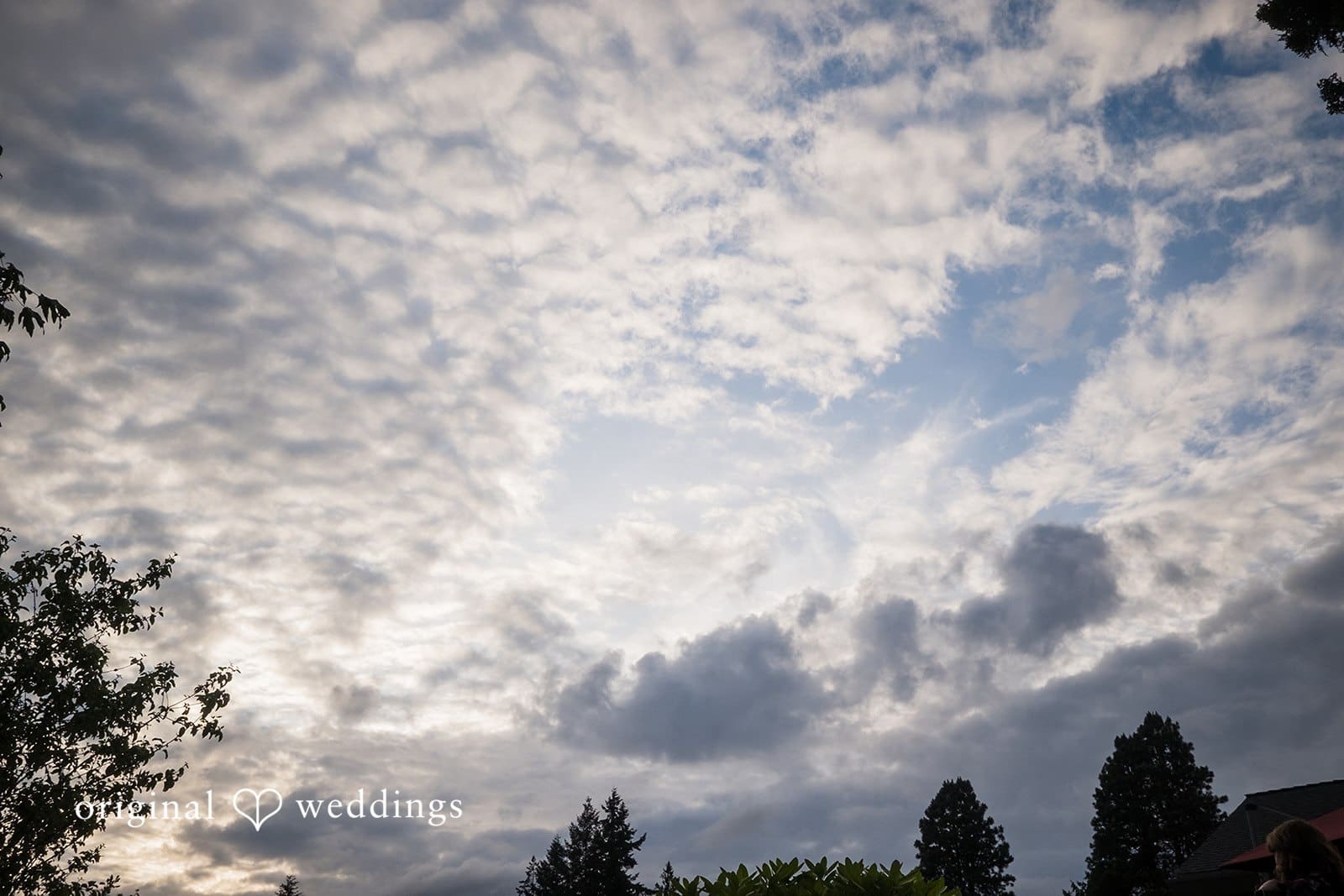 Washington Backyard Wedding // David & Avida -