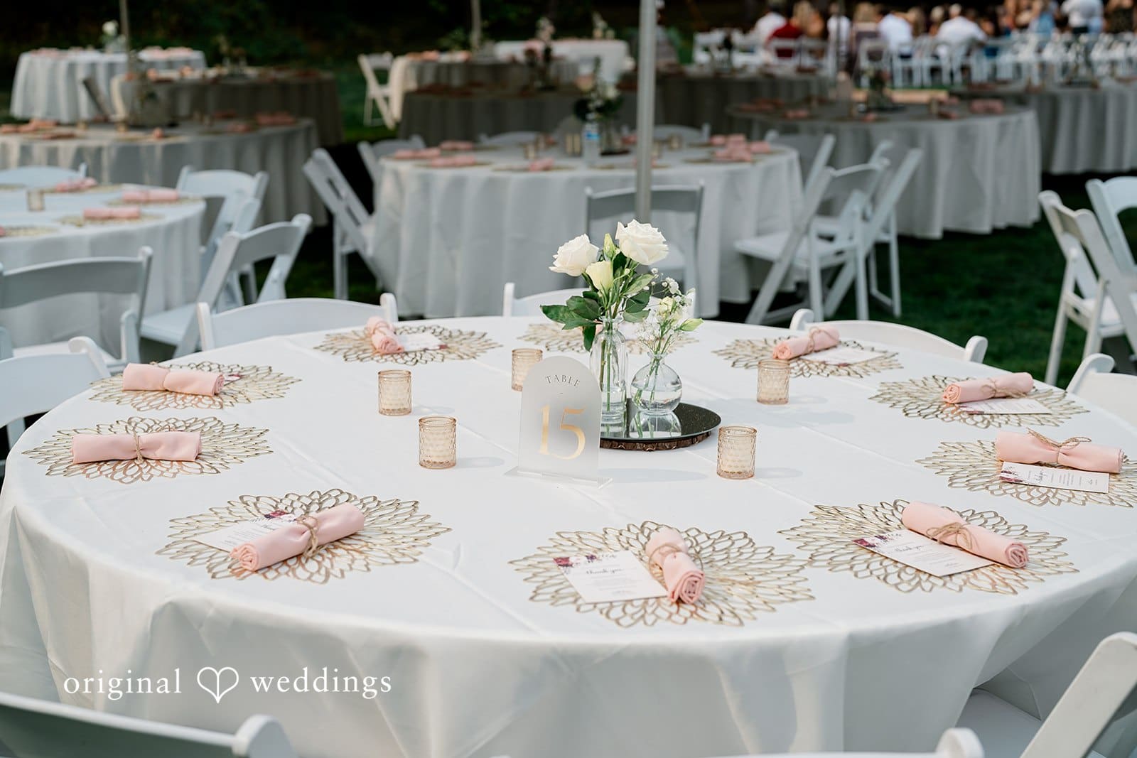 Washington Backyard Wedding // Shawnell & Brady -