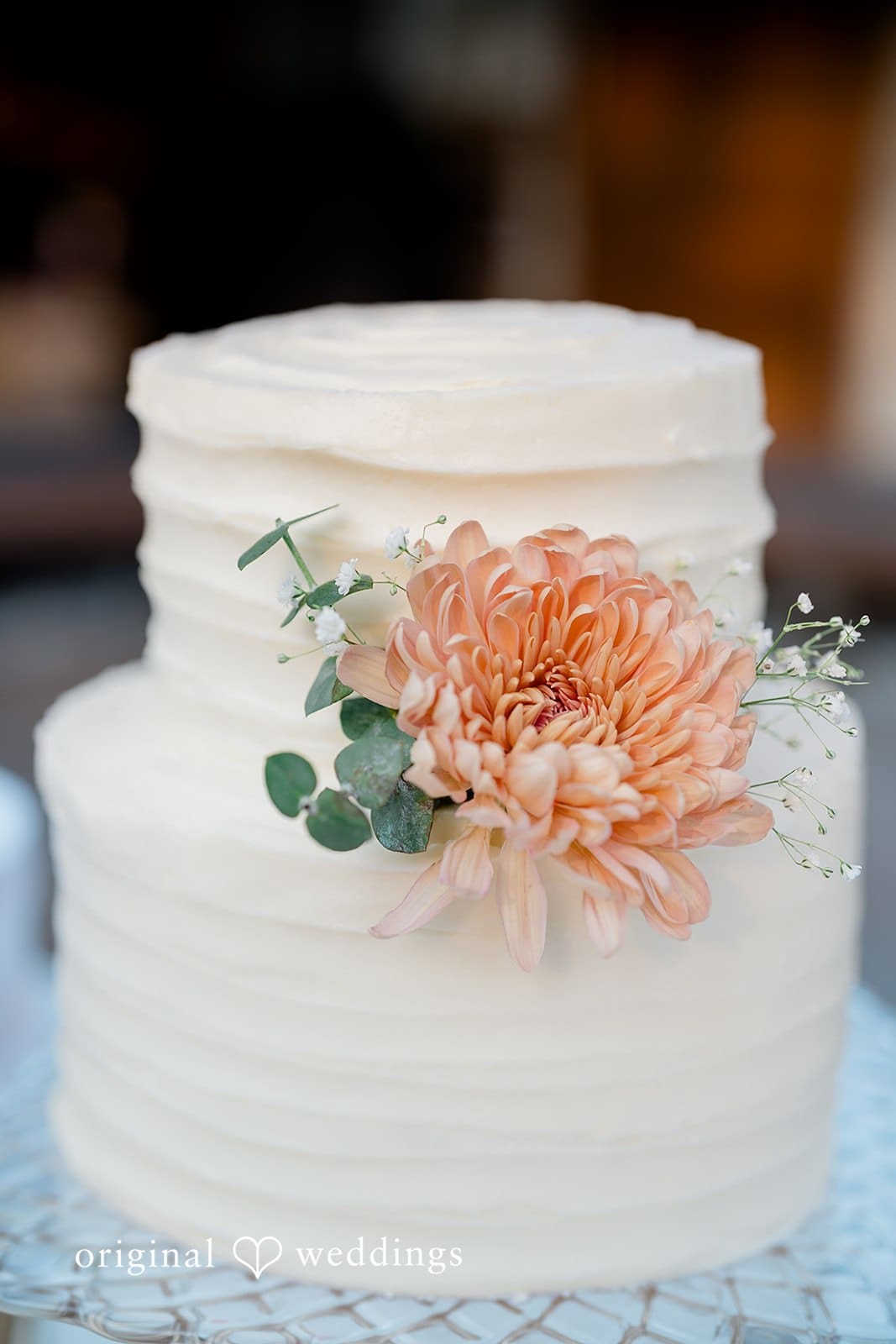 Washington Backyard Wedding // Shawnell & Brady -