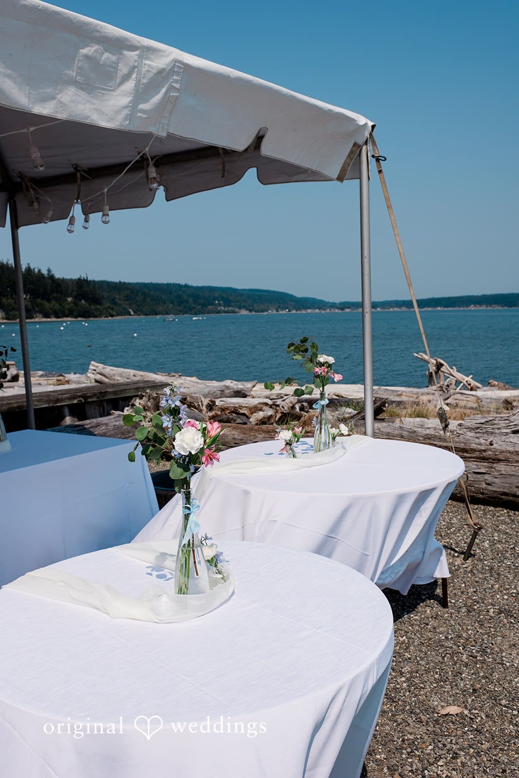 Washington Beach Wedding // Therese & David -
