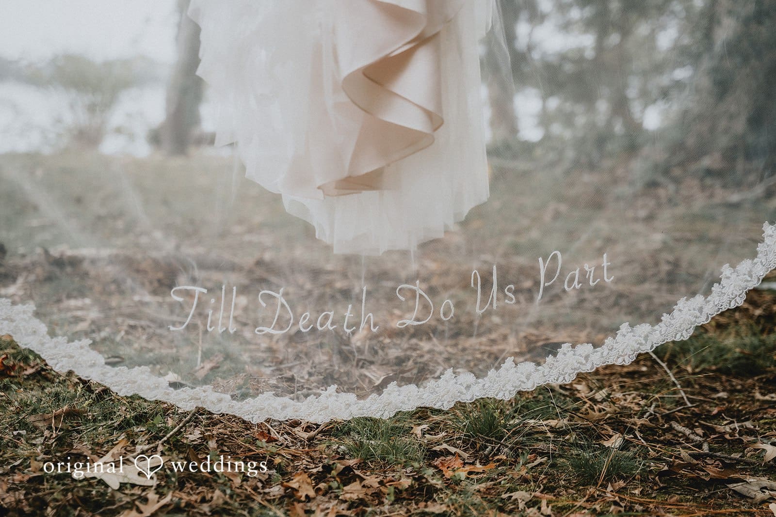 Washington, DC Backyard Wedding // Jacob & Kylie -