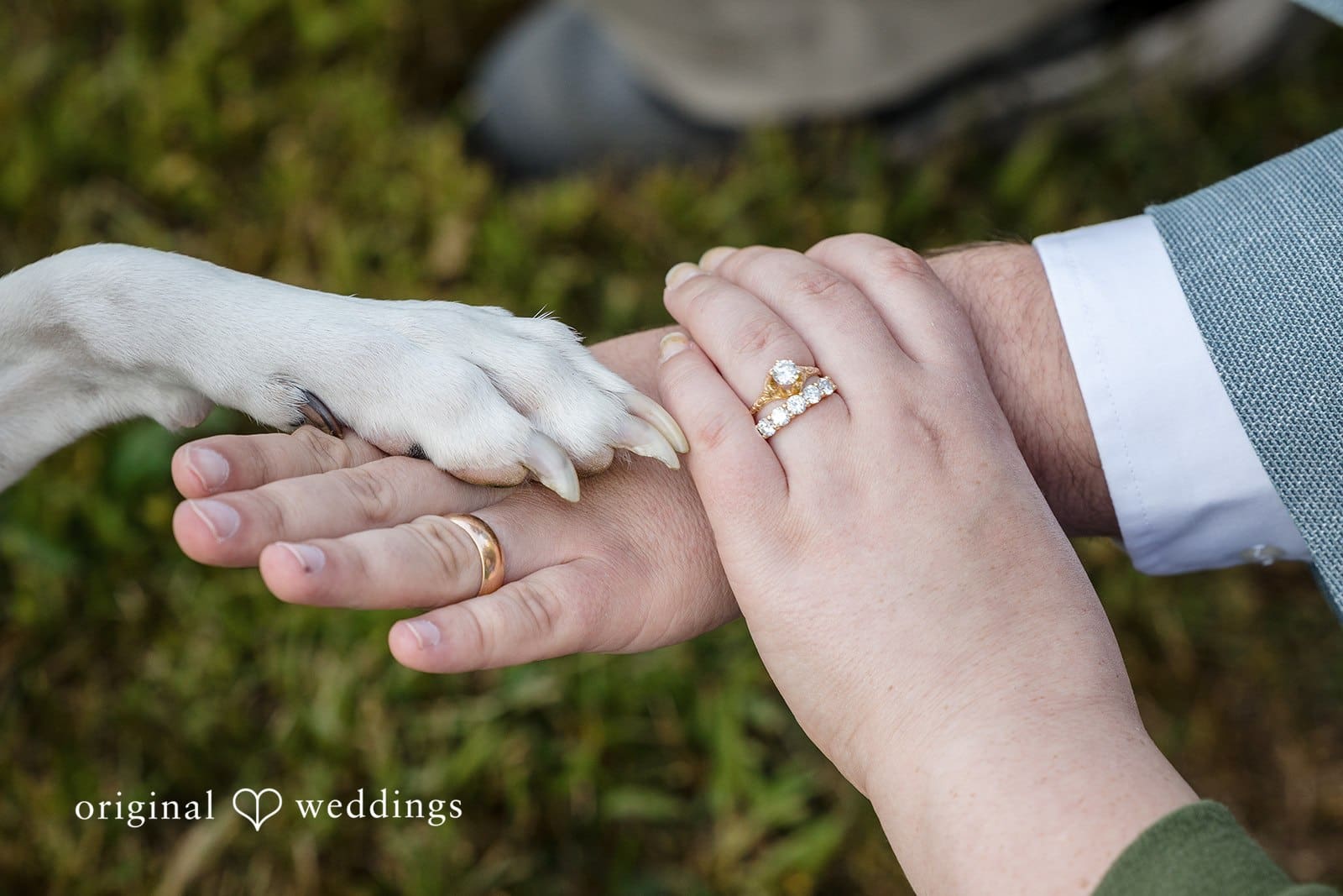 Wellesley College Engagement // Arabella & Nicholas -