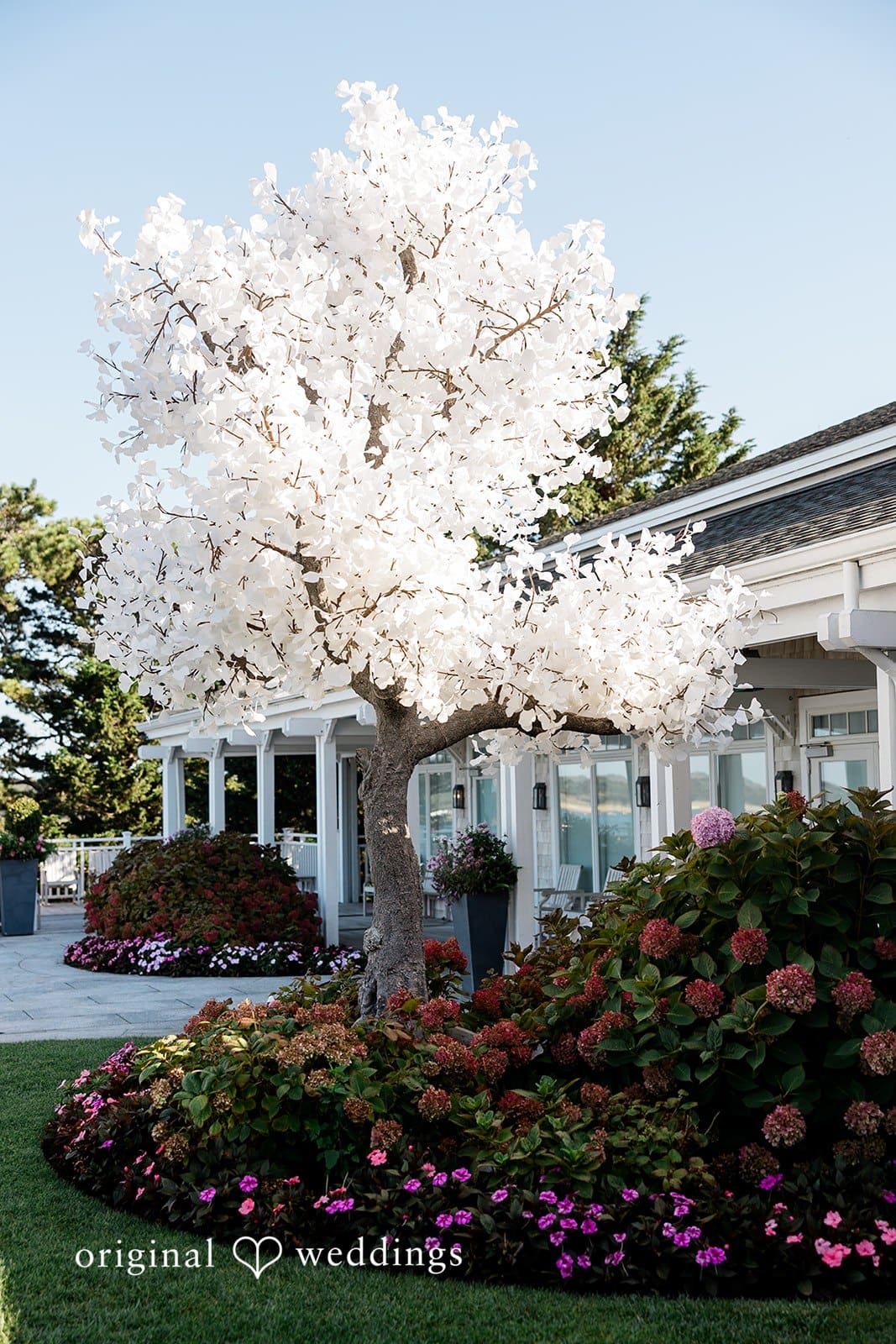 Wequassett Resort & Golf Club Wedding // Colleen & Mike -