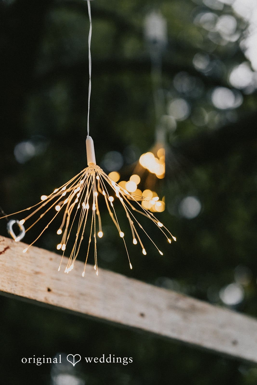 Wisconsin Backyard Wedding // Dalina & Alex -