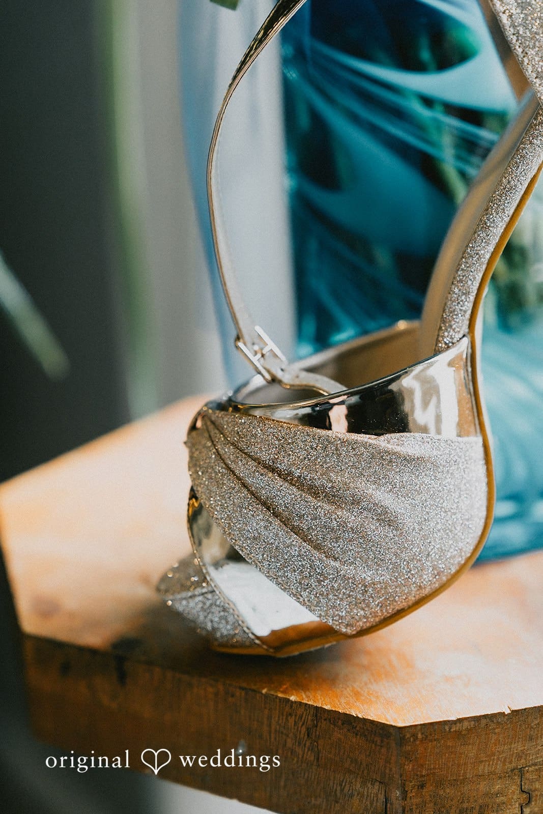 Wisconsin Backyard Wedding // Dalina & Alex -