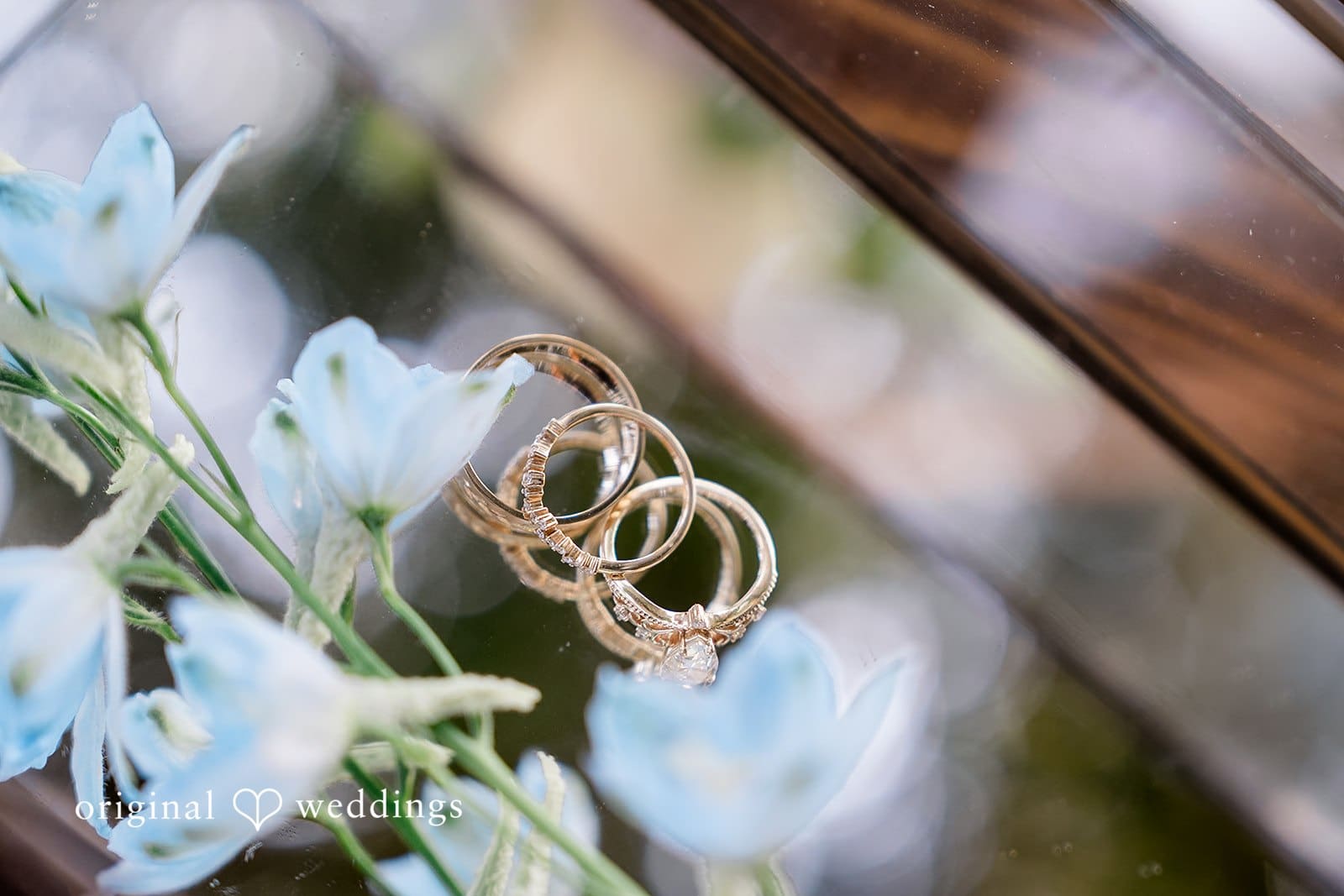 Woodinville Lavender Farm Wedding // Brianna & Wylie -