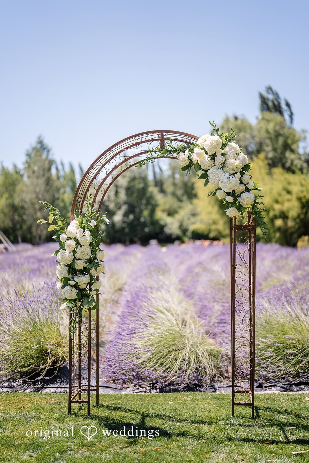 Woodinville Lavender Farm Wedding // Emily & Anthony -