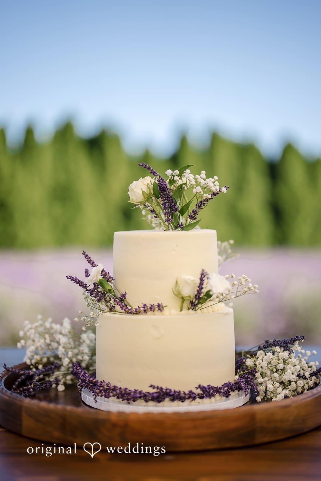 Woodinville Lavender Farm Wedding // Emily & Anthony -