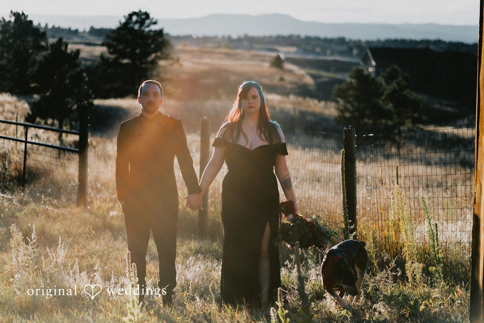 Black Forest Wedding // Stephanie & Bobby -