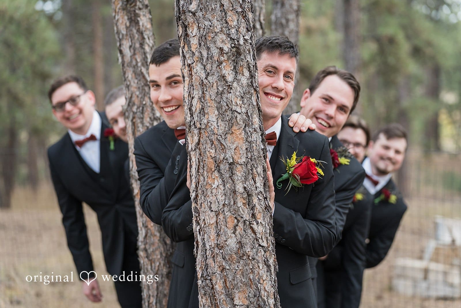 Black Forest Wedding // Wendy & William -