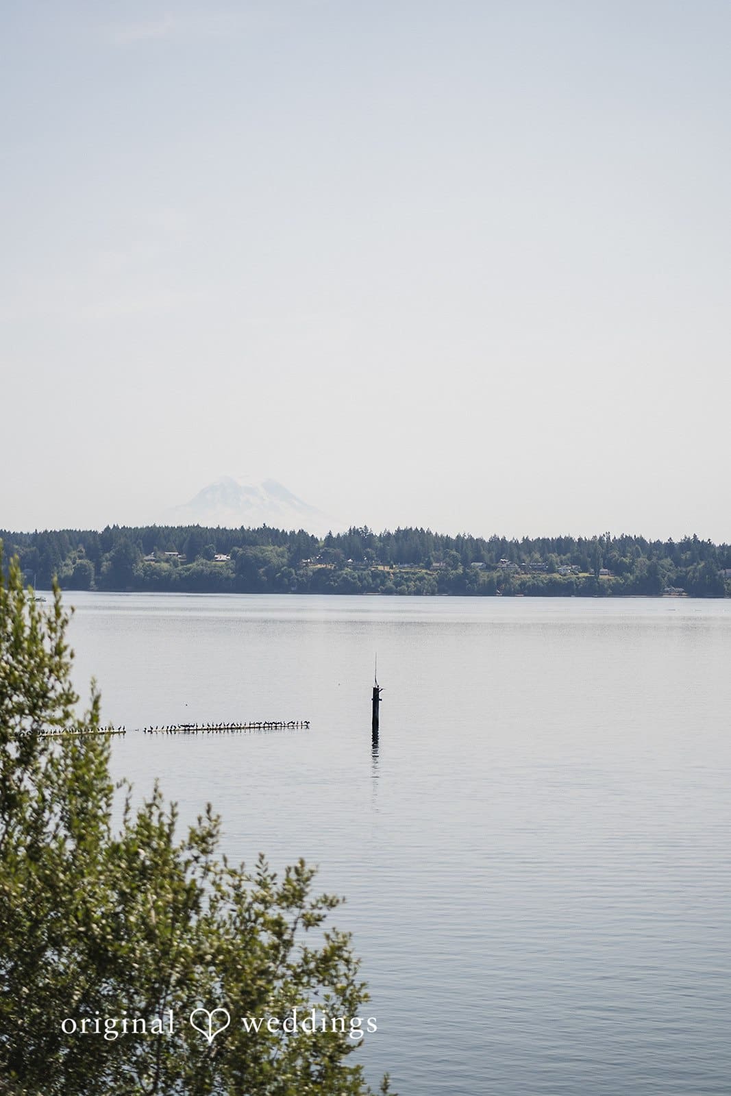 Bliss Beach Wedding // Alissa & Matt -