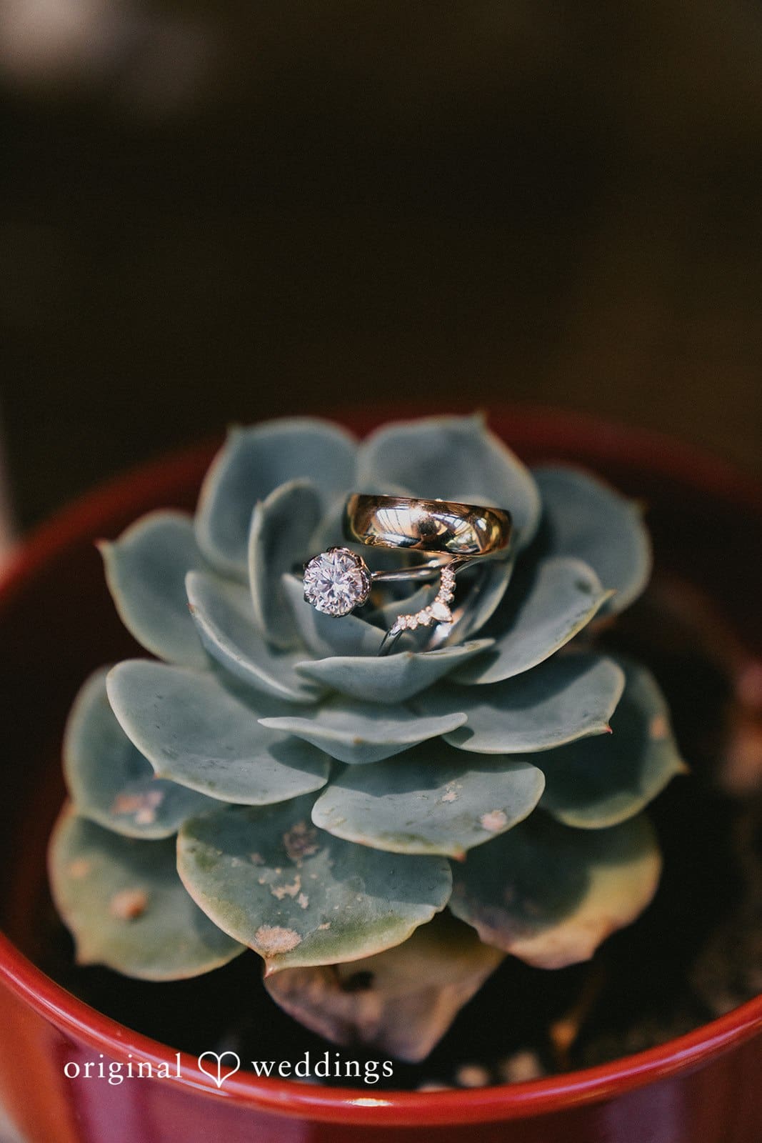 California Backyard Wedding // Lulie & Matt -