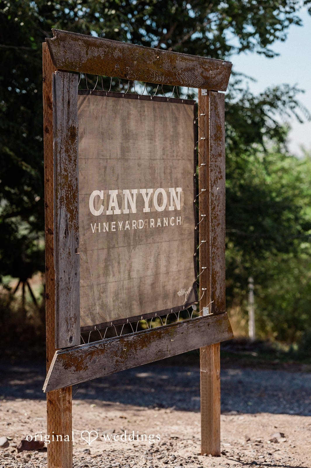 Canyon Ranch Vineyards Wedding // Courtney & Zach -