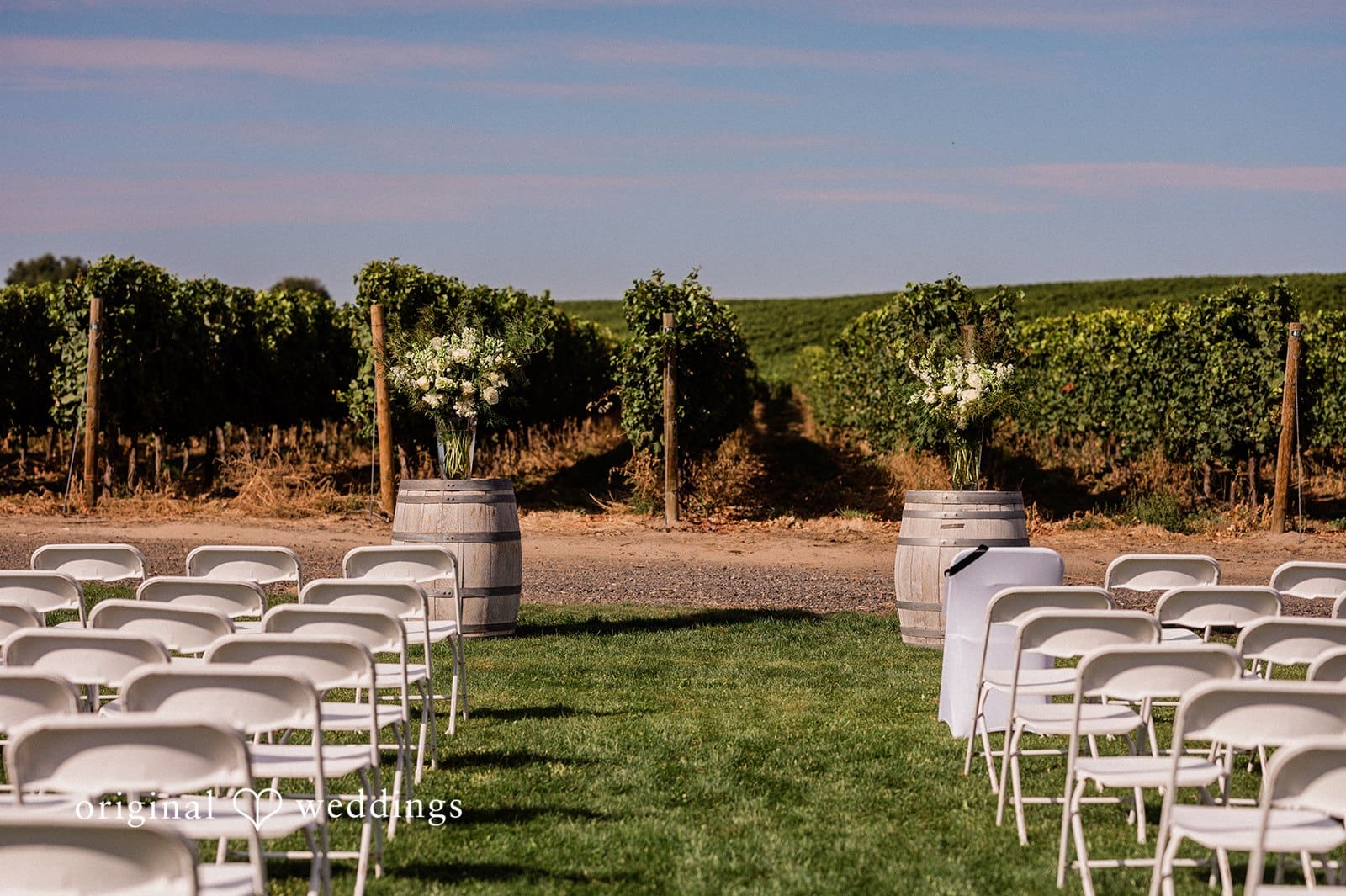 Canyon Ranch Vineyards Wedding // Courtney & Zach -