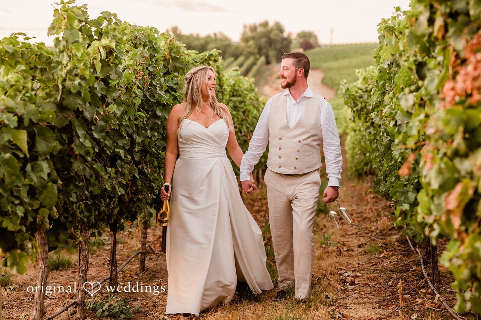 Canyon Ranch Vineyards Wedding // Courtney & Zach -