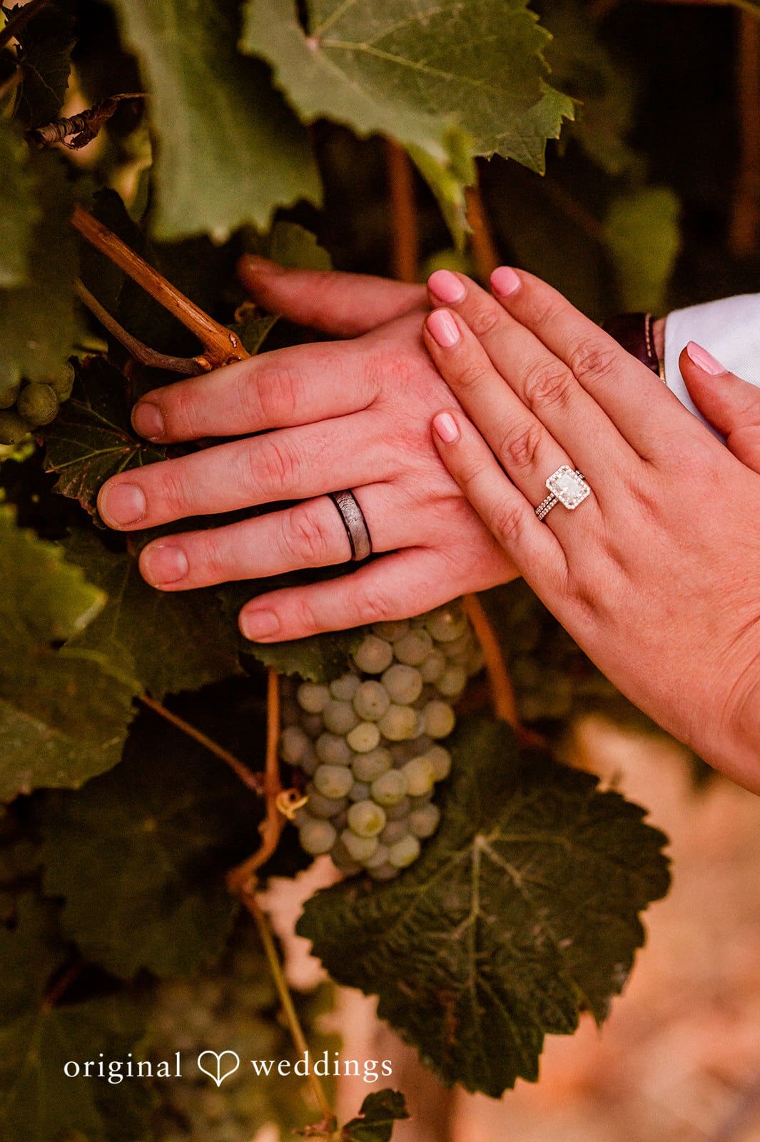 Canyon Ranch Vineyards Wedding // Courtney & Zach -