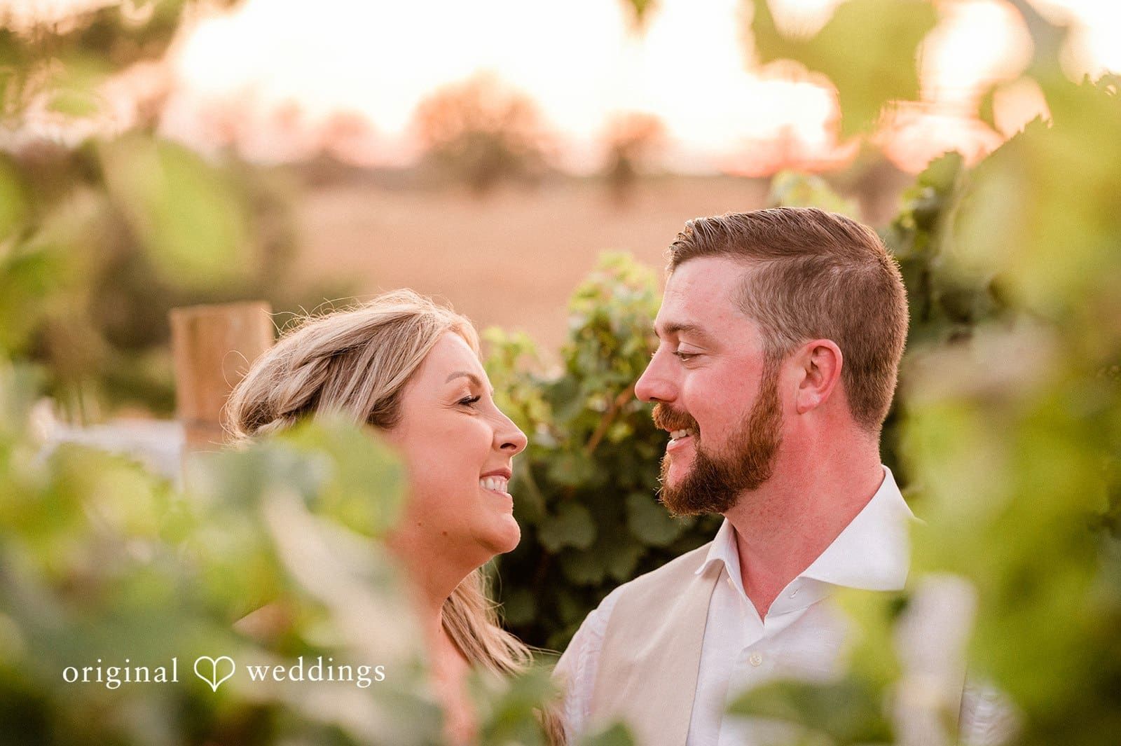 Canyon Ranch Vineyards Wedding // Courtney & Zach -