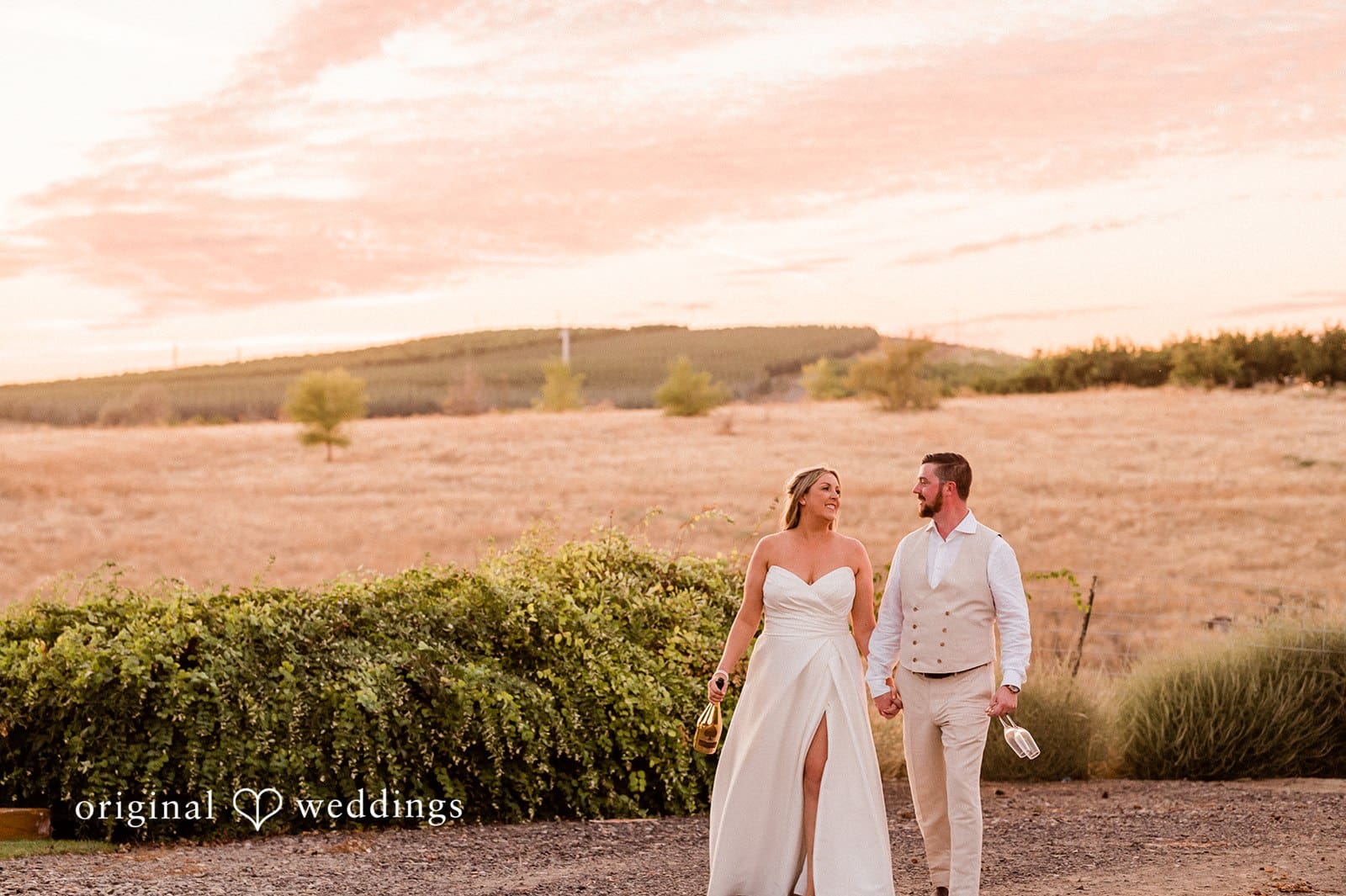 Canyon Ranch Vineyards Wedding // Courtney & Zach -
