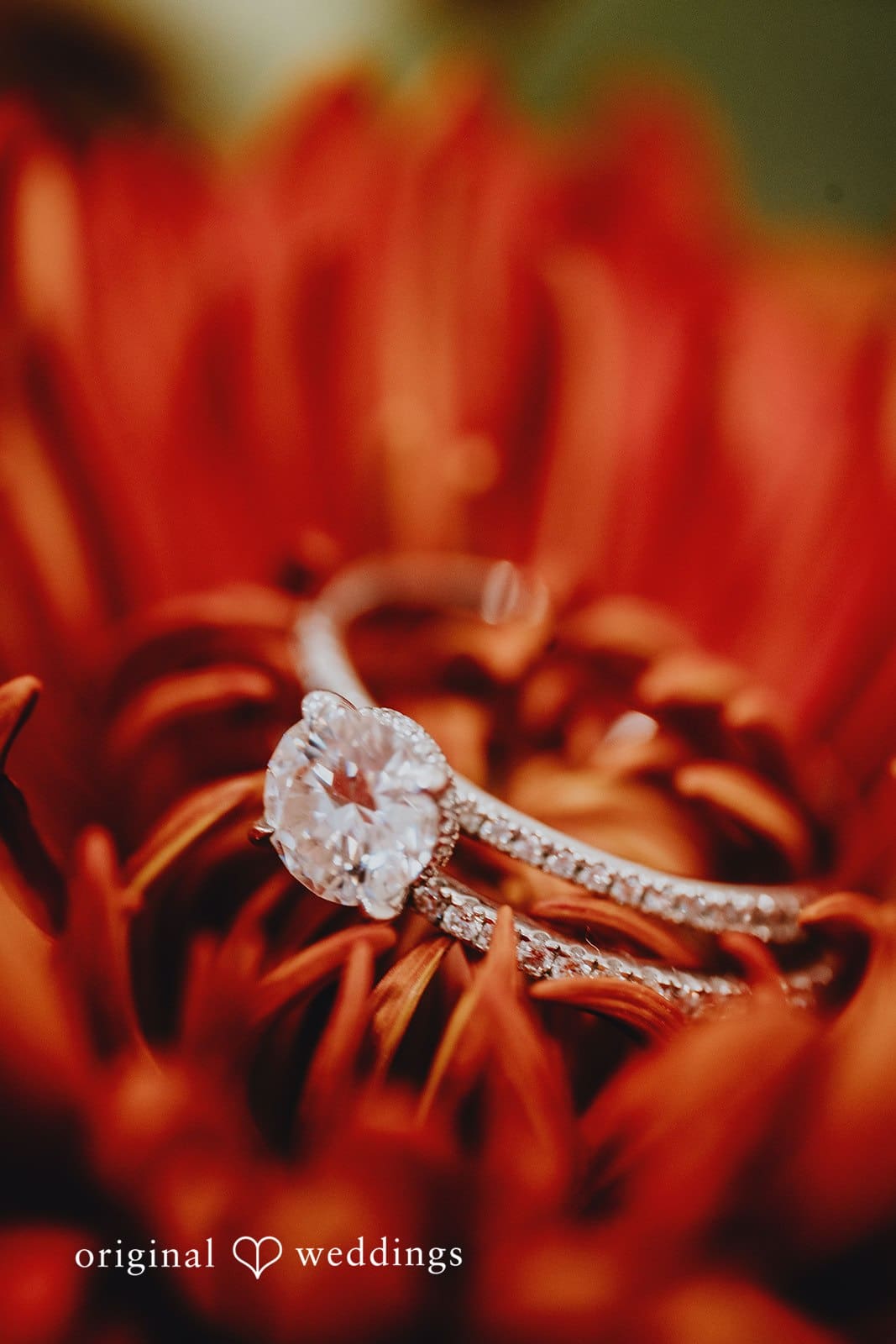 Castle Royale Wedding // Sabrina & Elvis -