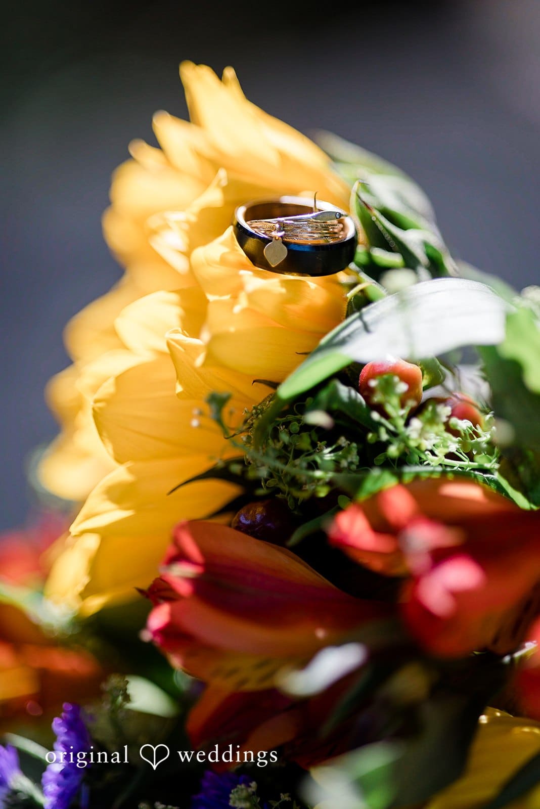 Center for Urban Horticulture Wedding // Amanda & Spencer -