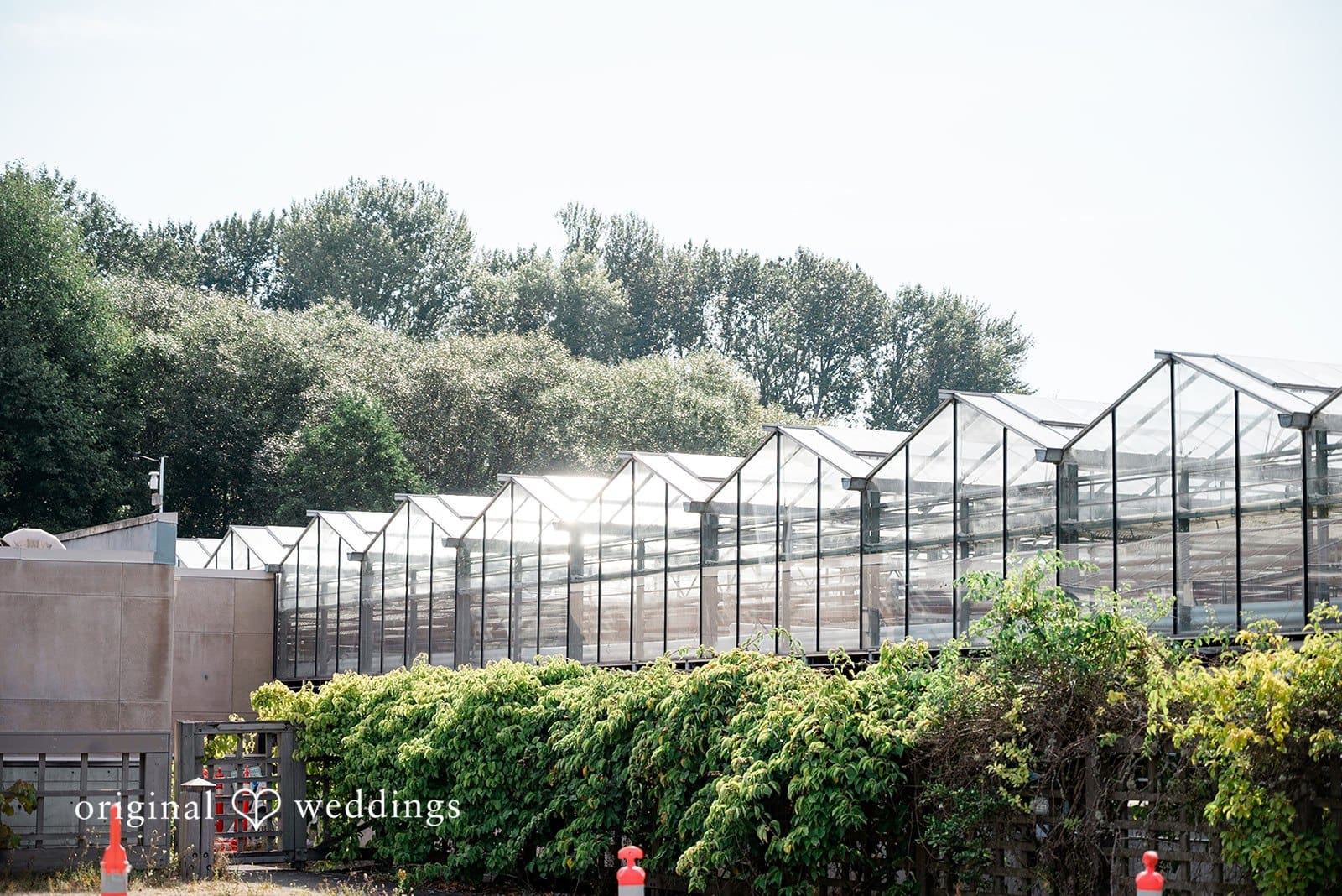 Center for Urban Horticulture Wedding // Amanda & Spencer -