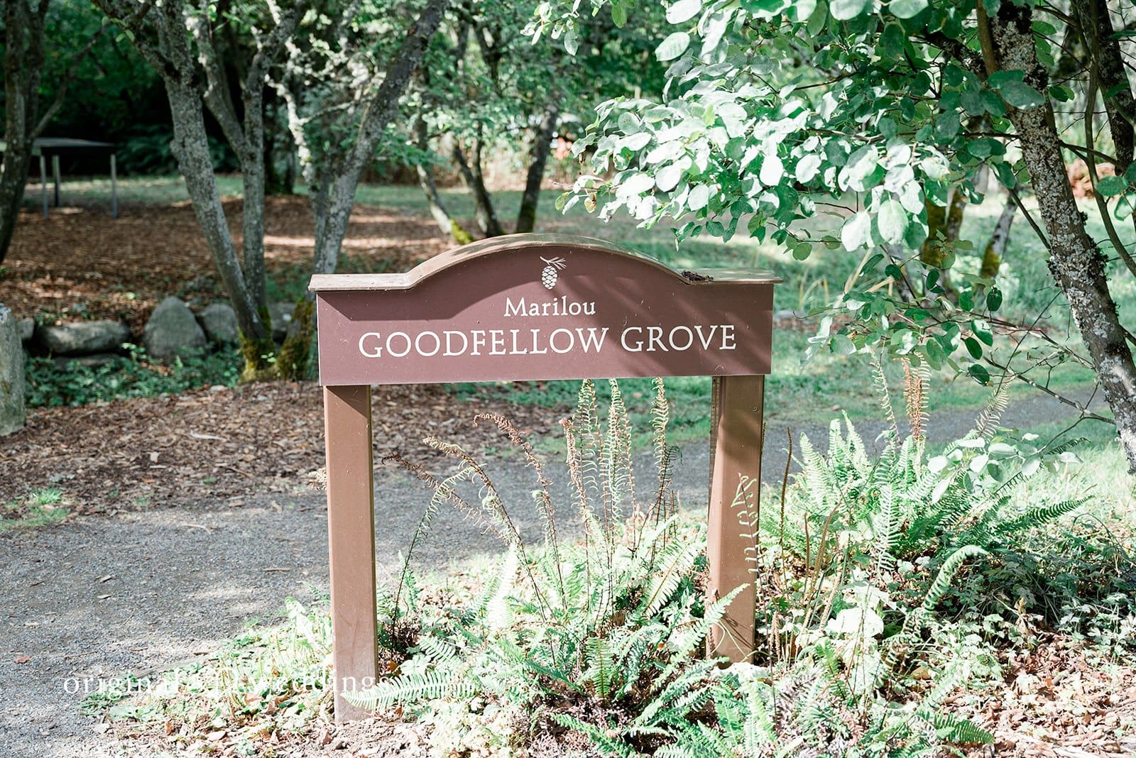 Center for Urban Horticulture Wedding // Amanda & Spencer -