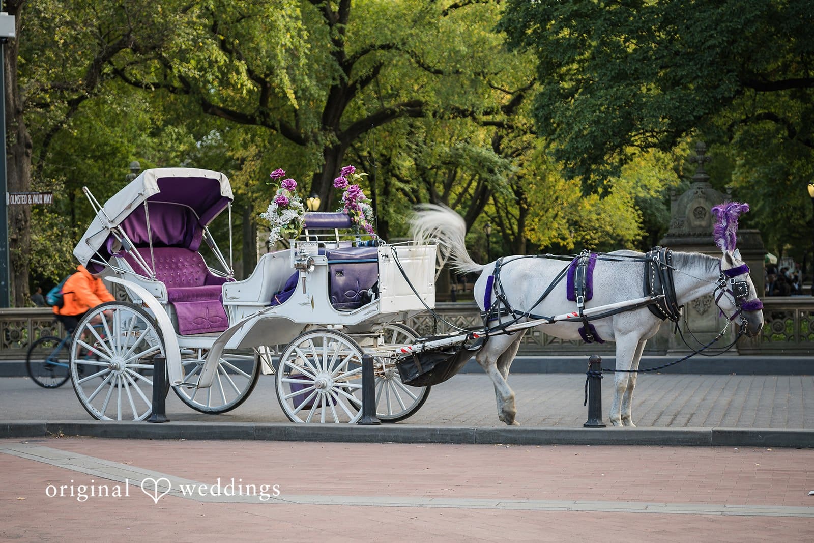 Central Park Engagement // Aidan & Dillon -