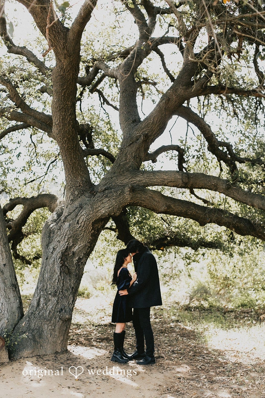 Charmlee Wilderness Park Engagement // Jessica & Jaime -