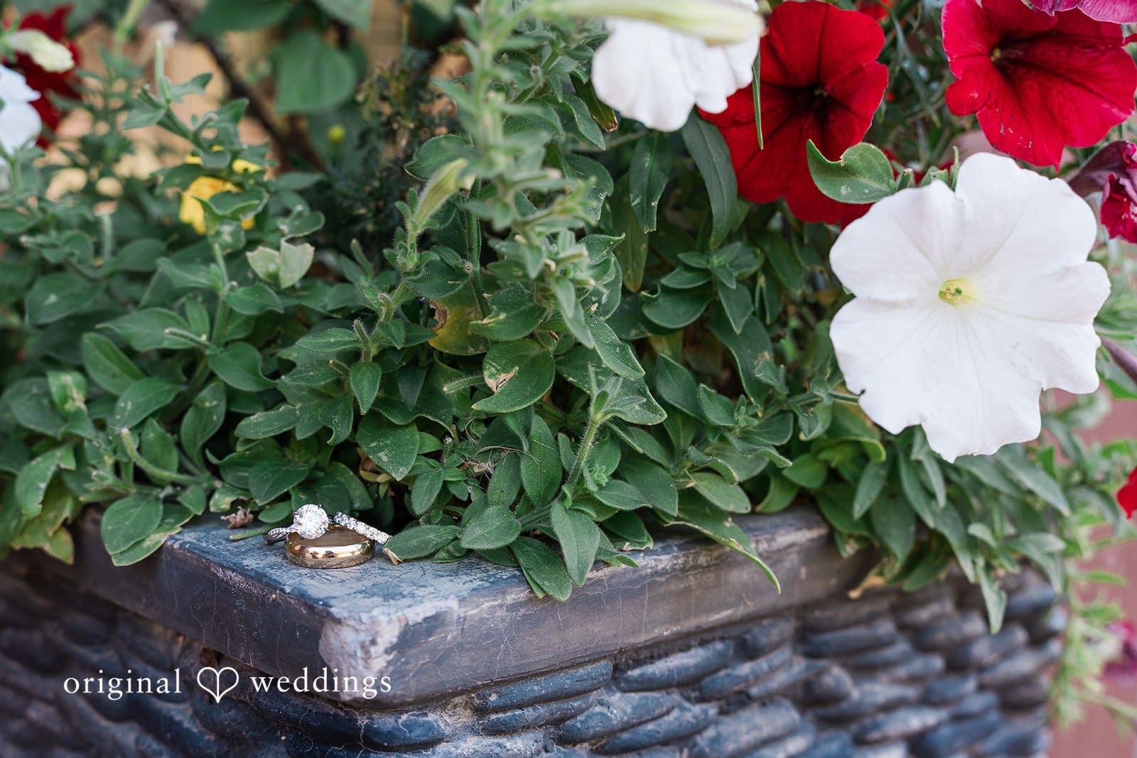 Cheyenne Mountain Resort Wedding // Kylie & Israel -