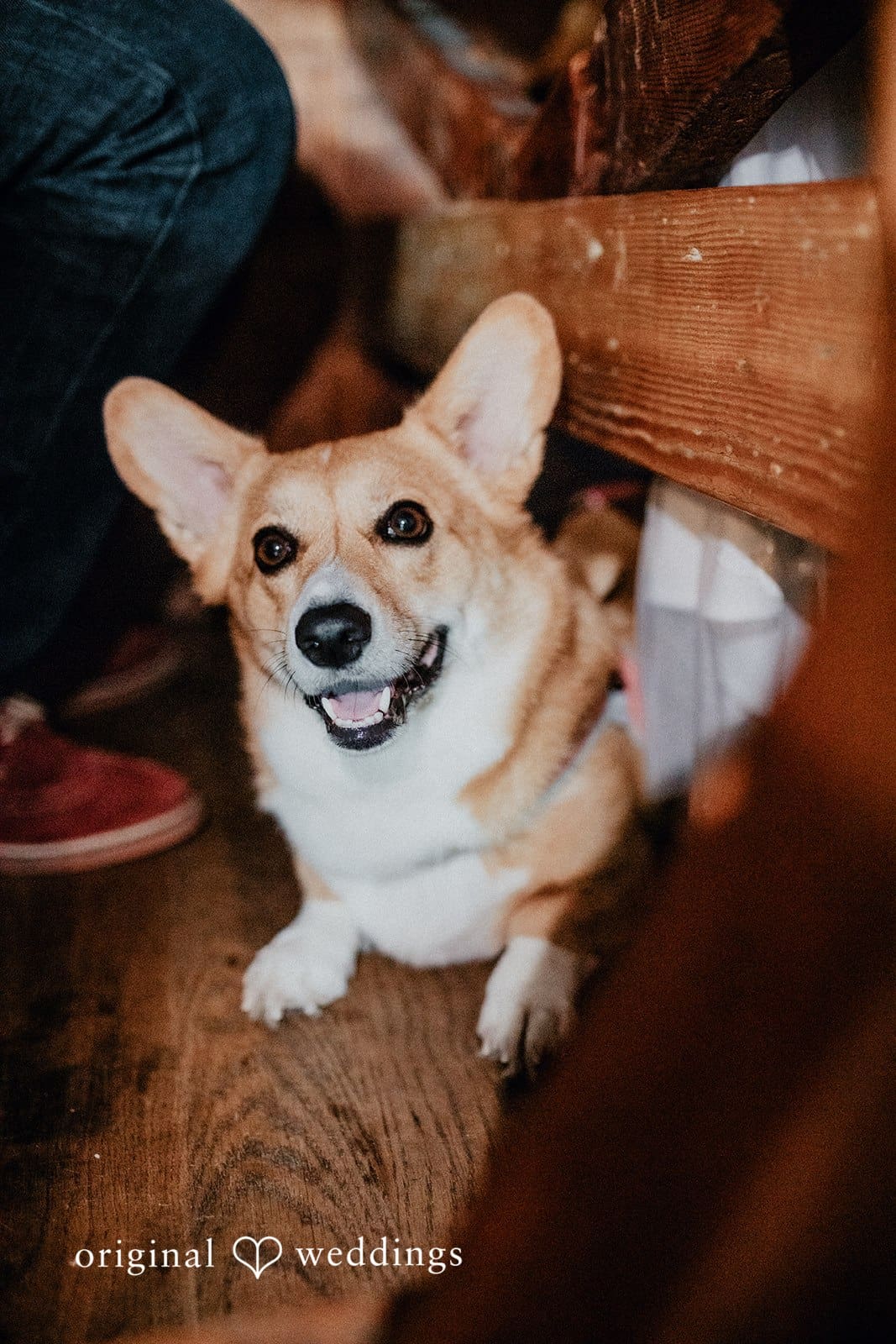 Christine W Boat Wedding // Leah & Joss -