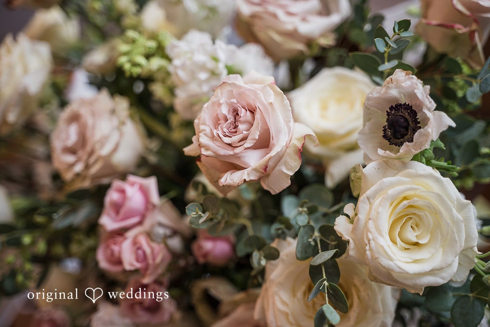 Colonial Hotel Wedding // Natalie & Steven -