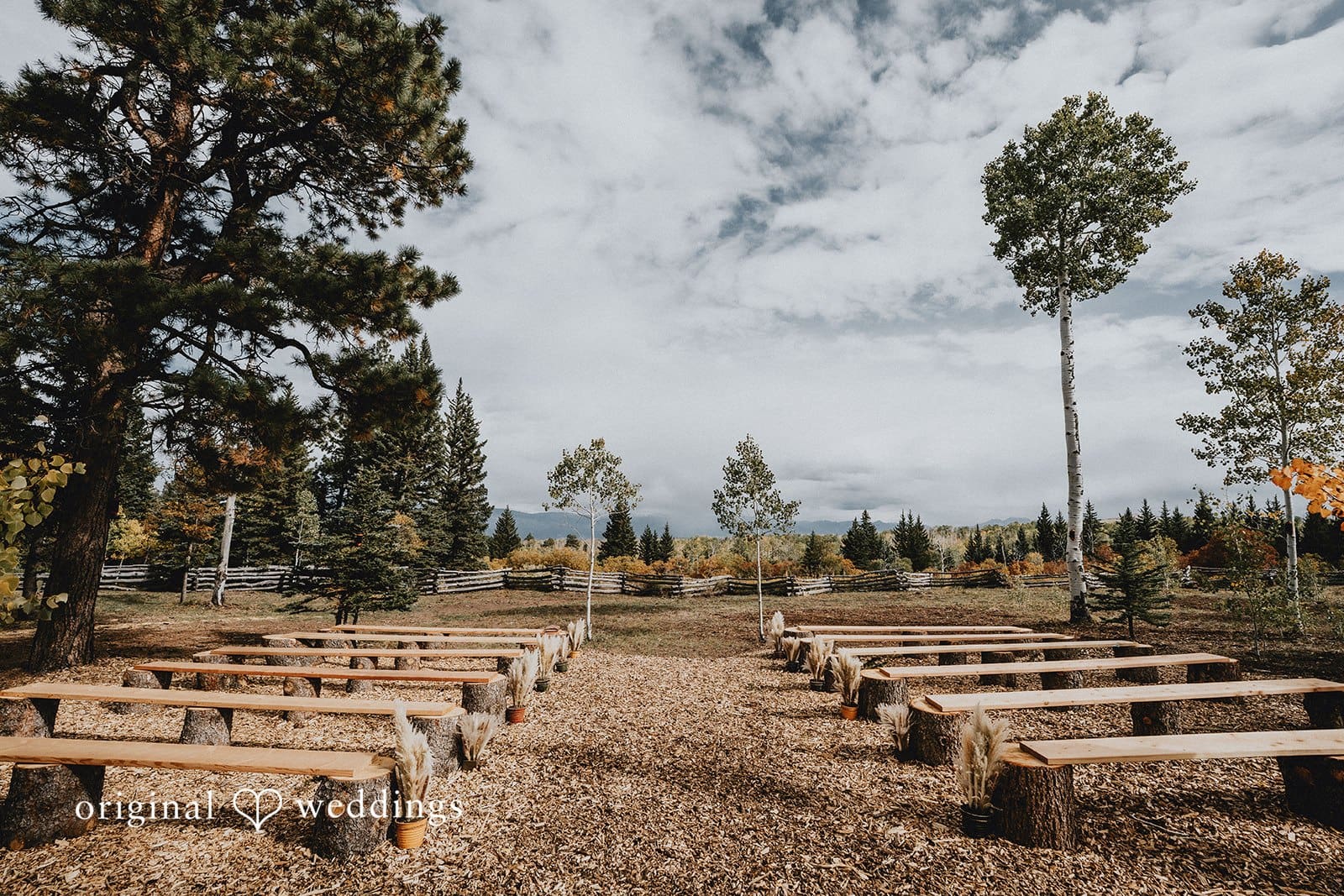 Colorado Backyard Wedding // Jaden & Kaleb -