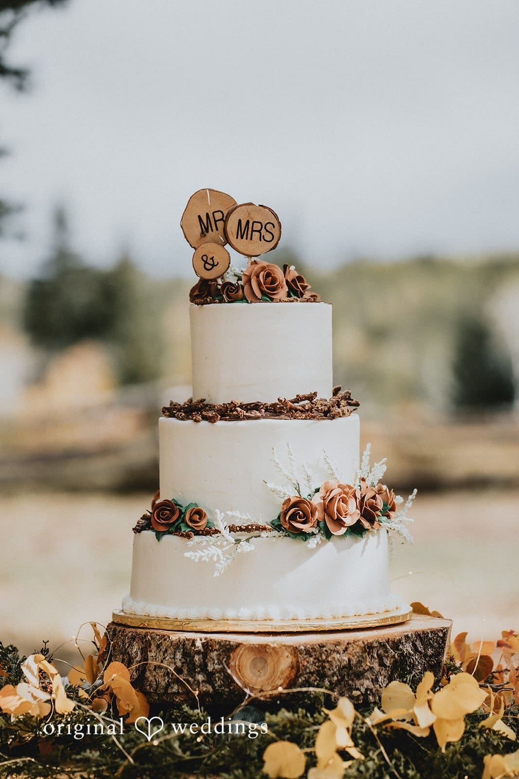 Colorado Backyard Wedding // Jaden & Kaleb -