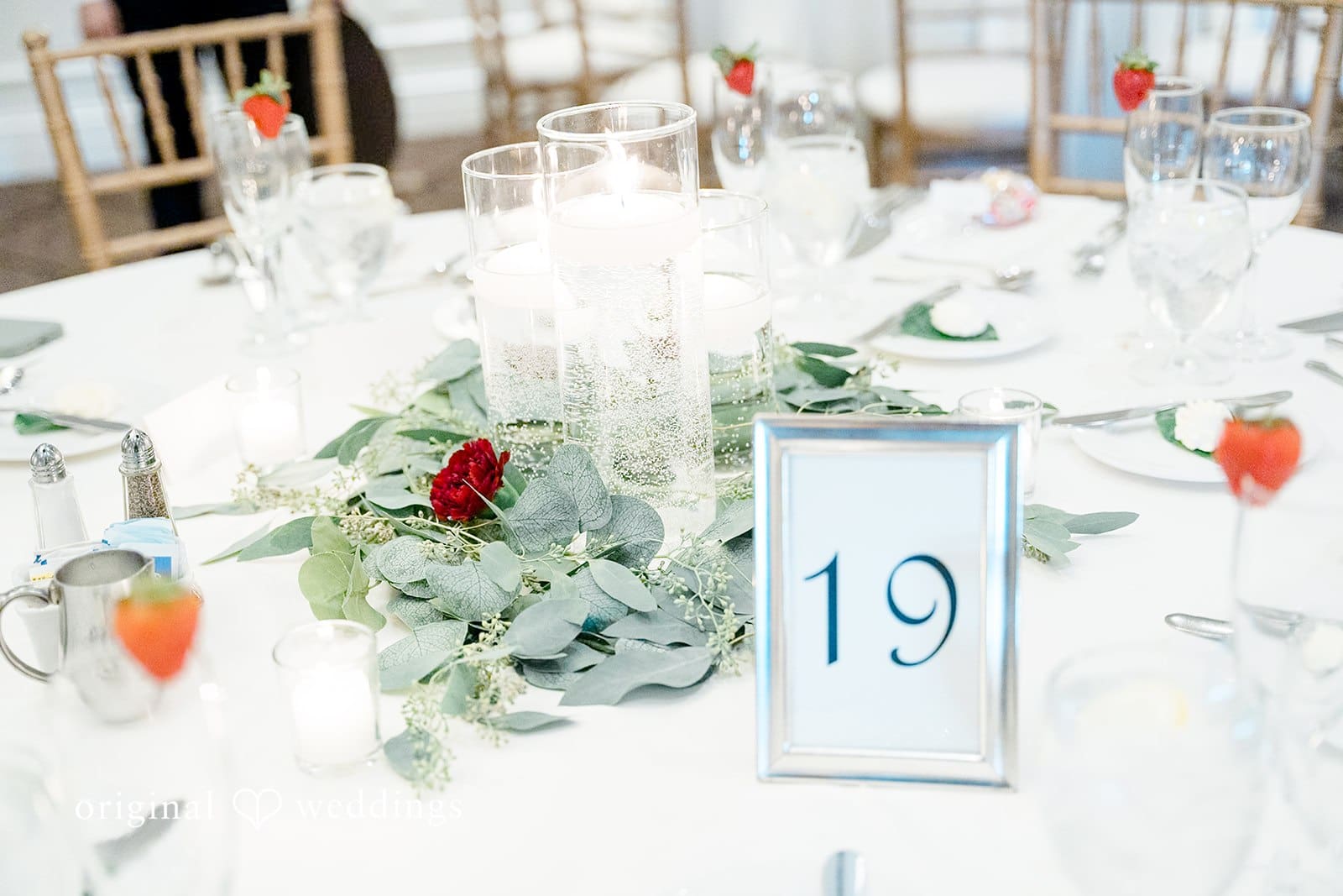 Concorde in Kildeer Wedding // Chanel & Anthony -