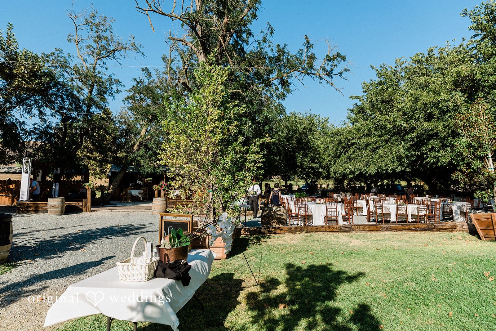 Coyote Ranch Wedding // Kaitlin & Nathan -