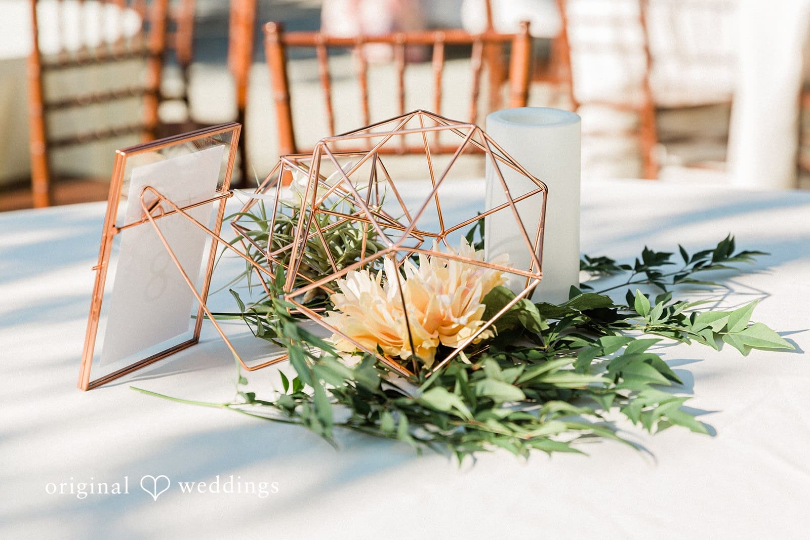 Coyote Ranch Wedding // Kaitlin & Nathan -