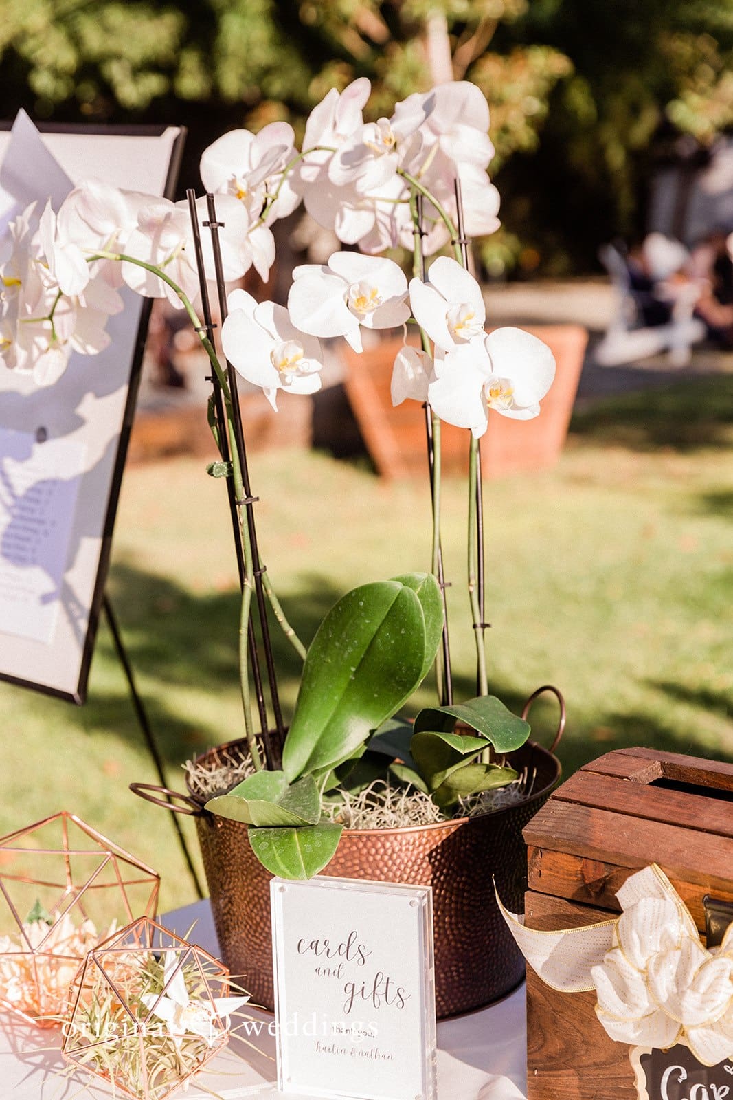 Coyote Ranch Wedding // Kaitlin & Nathan -