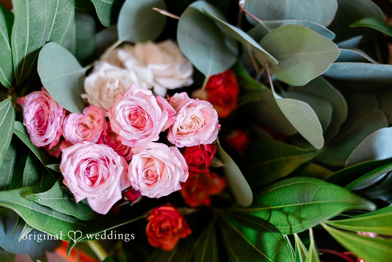 Crystal Ballroom Wedding // Nick & Junzi -