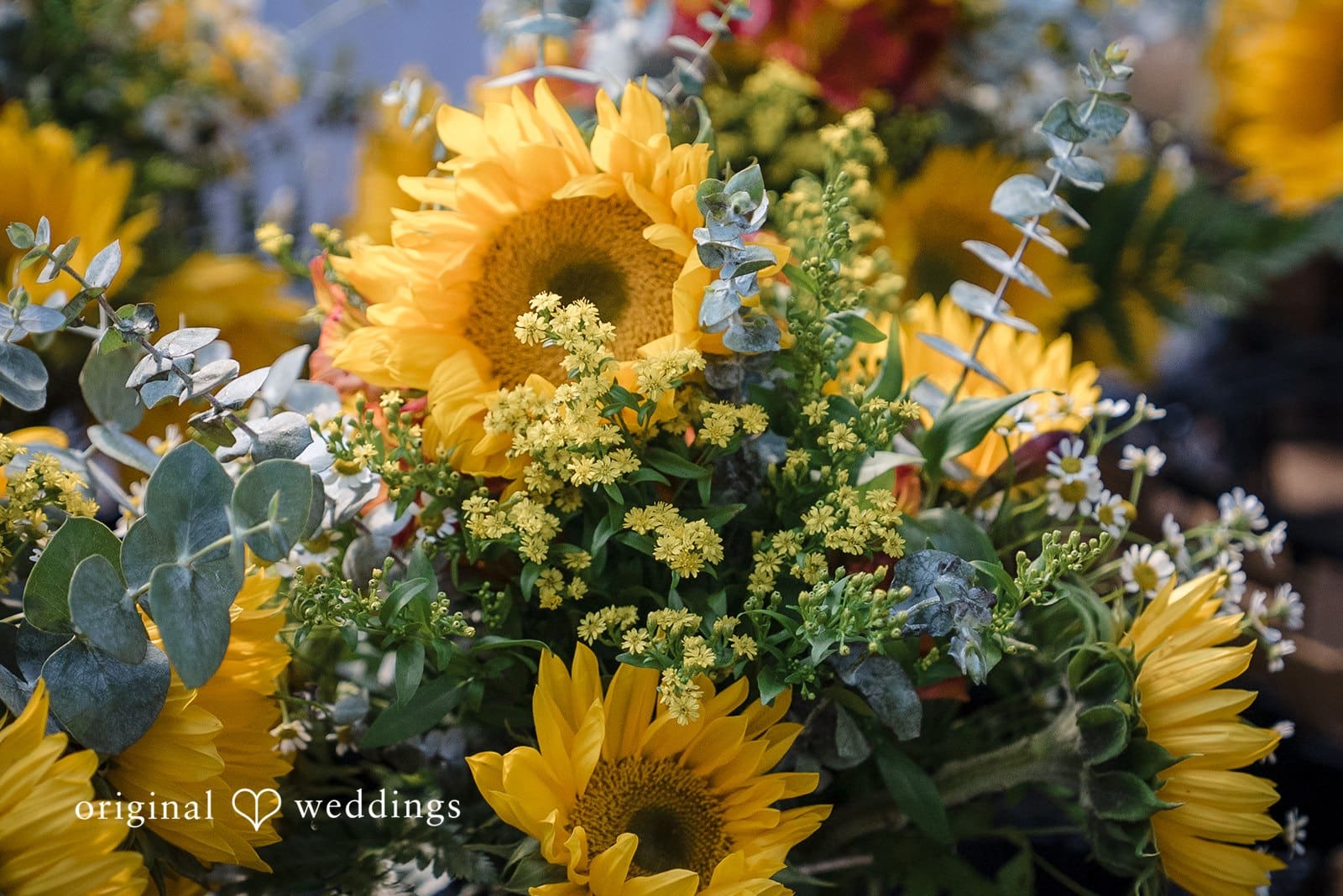 Deer Park Villa Wedding // Fiona & Kyle -