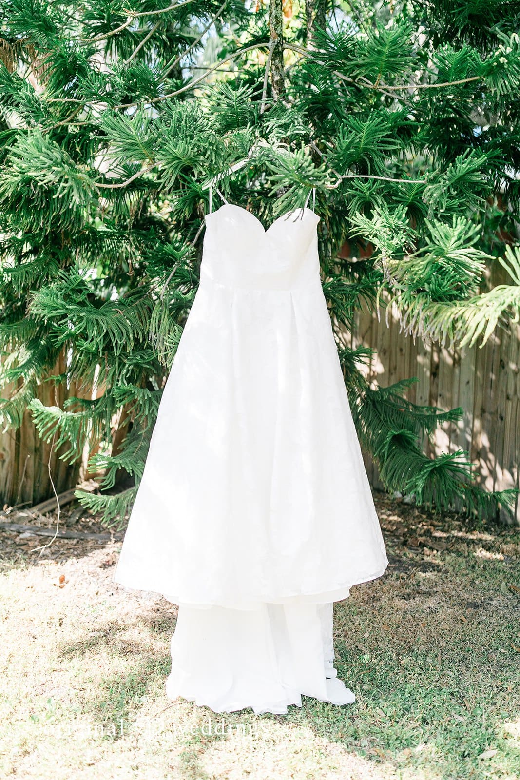 Del Favero Oasis Wedding // Megan & Brian   -