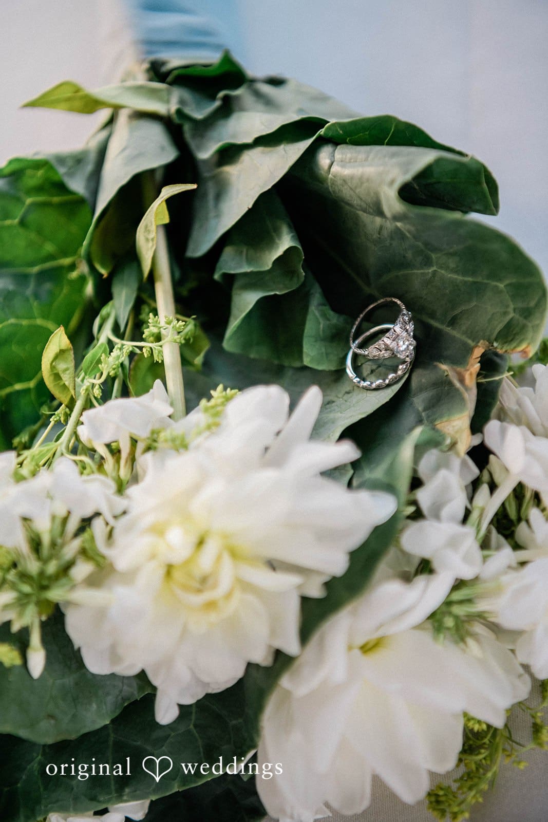 Discovery Park Wedding // Cassie & Zach -