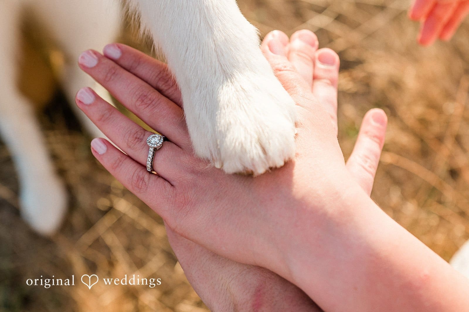 Discovery Park Engagement // Samantha & Joseph -
