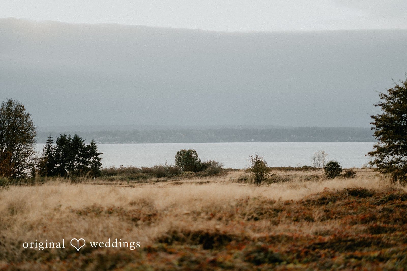 Discovery Park Engagement // Kassie & Brooks -