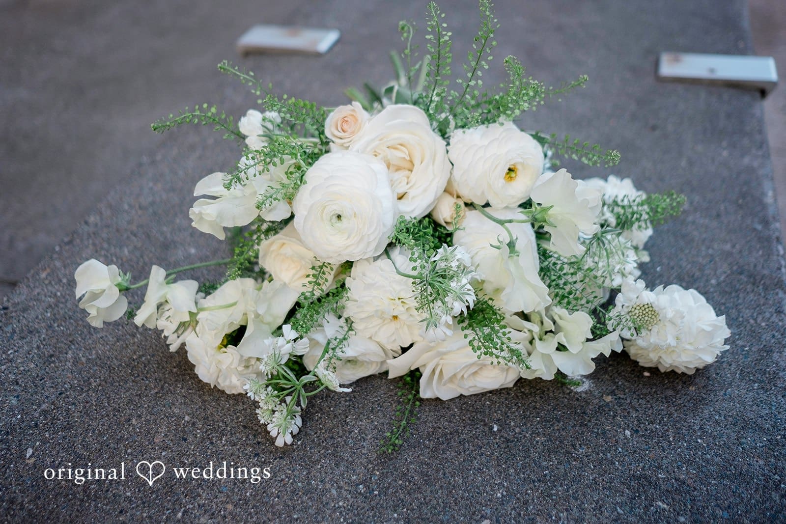 Dockside at Dukes Wedding // Meghan & Brennain -