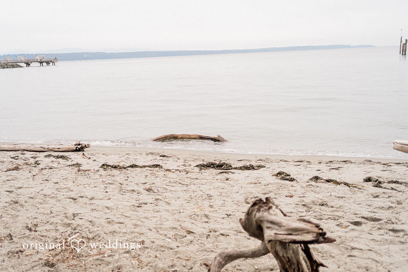 Edmonds Engagement // Kylie & Tyler -