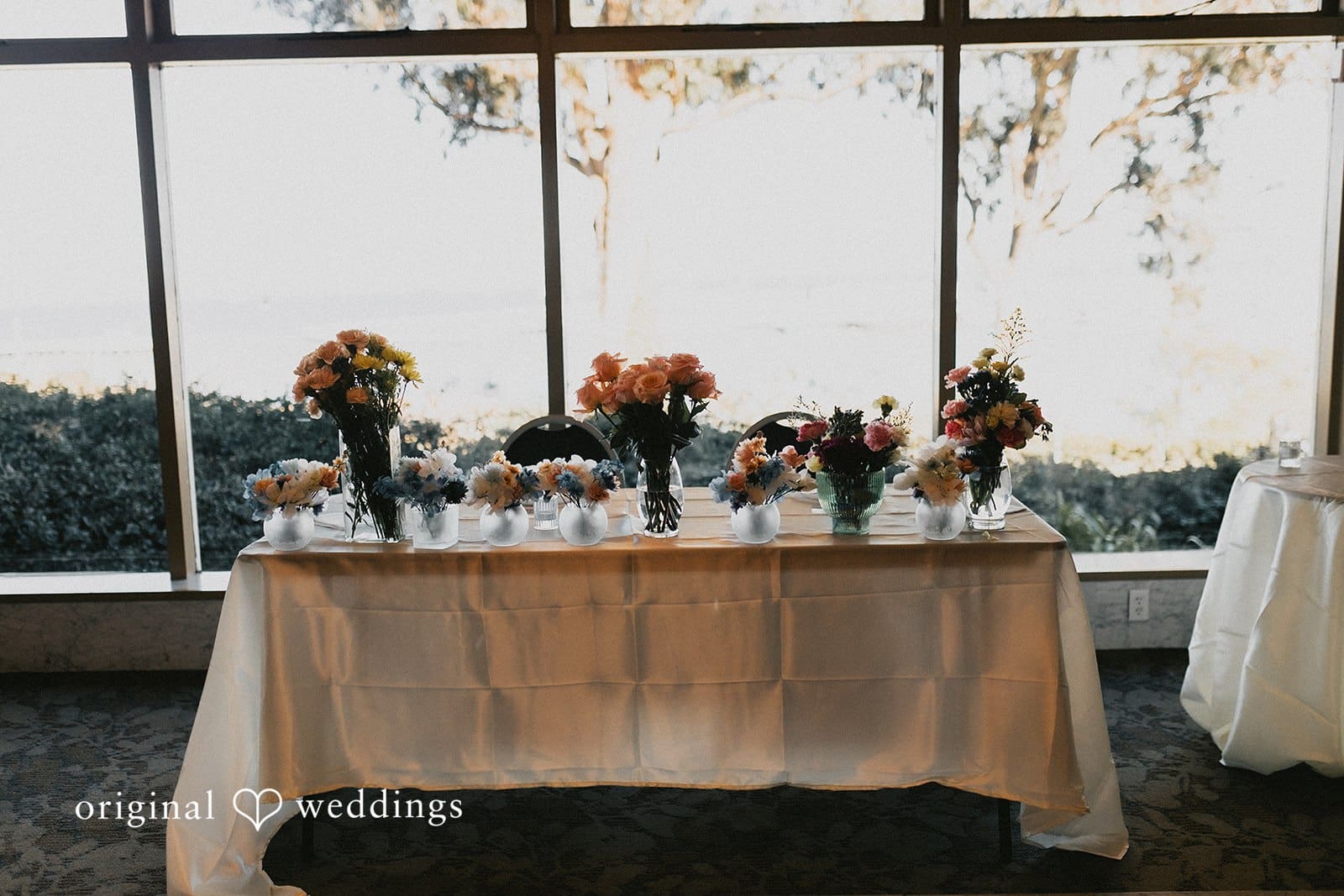 Hayleigh & Austin -