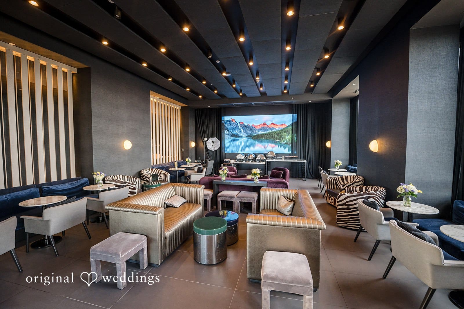 Halo Bar DTC Wedding // Tom & Amber -