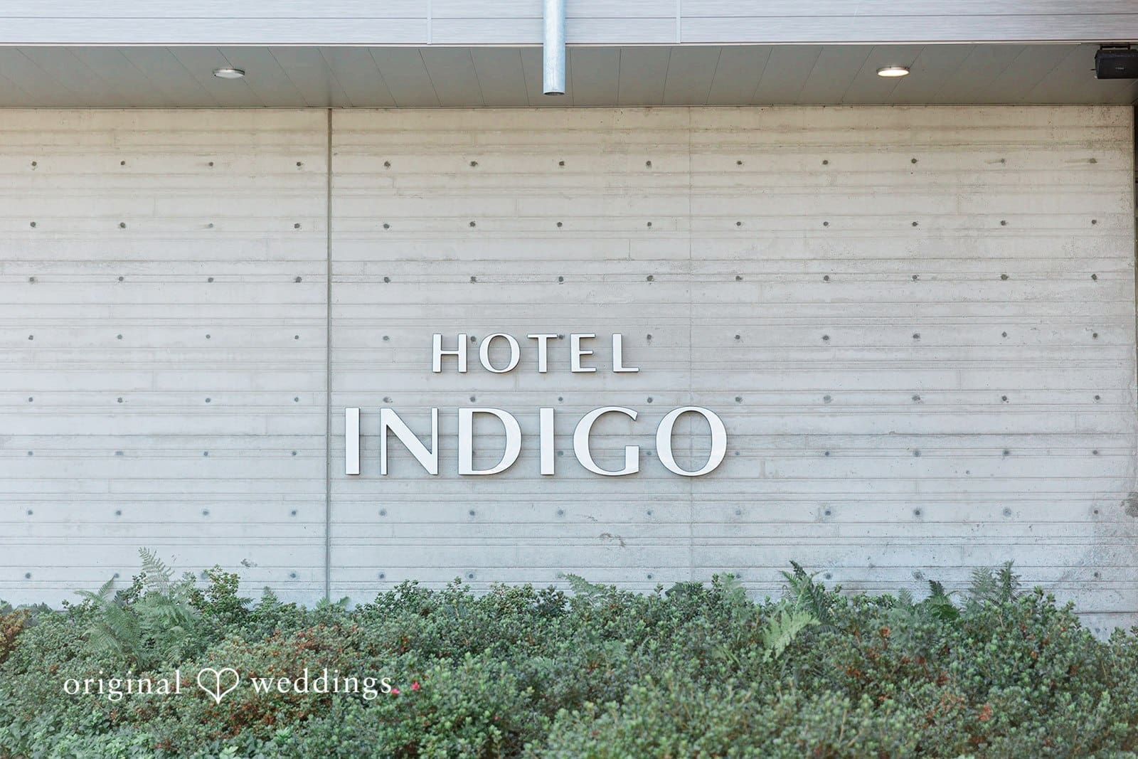 Hotel Indigo Seattle Wedding // Nicole & Tyler -
